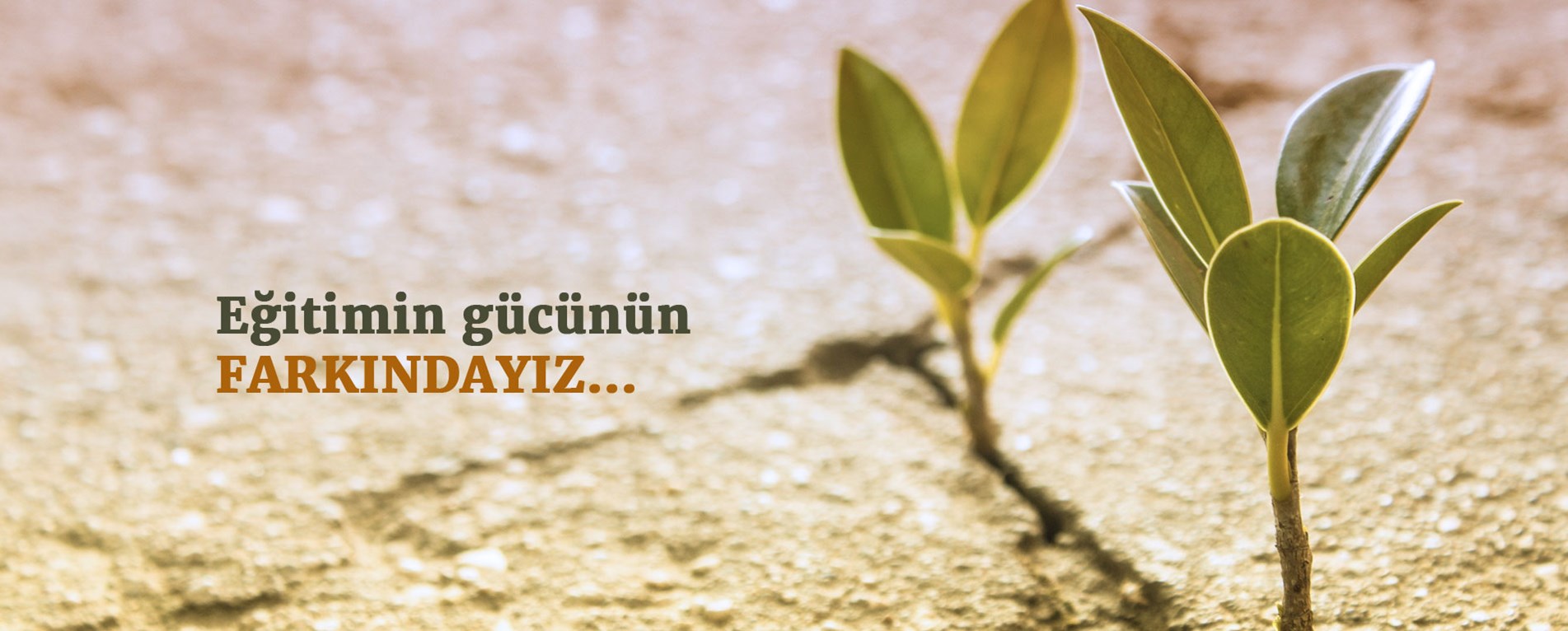 Diyarbakır Mezopotamya Otizm Yaşam Merkezi